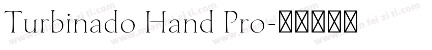 Turbinado Hand Pro字体转换